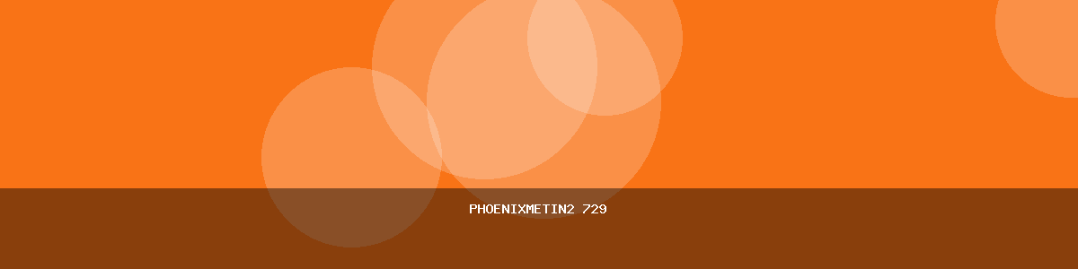PhoenixMetin2 729